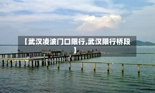 【武汉凌波门口限行,武汉限行桥段】
