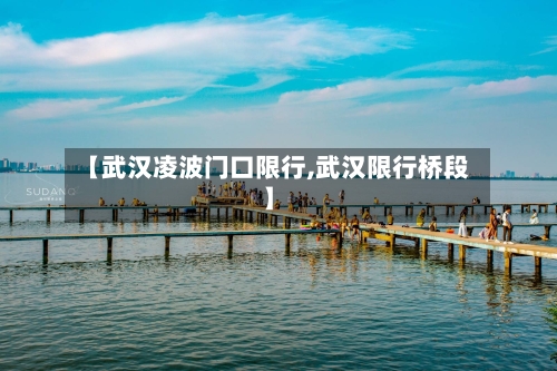 【武汉凌波门口限行,武汉限行桥段】-第2张图片