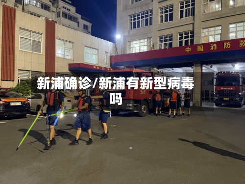新浦确诊/新浦有新型病毒吗-第2张图片