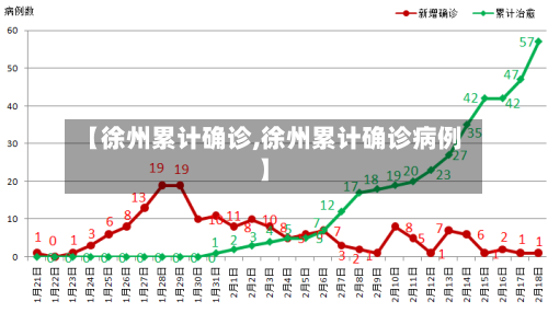 【徐州累计确诊,徐州累计确诊病例】-第3张图片