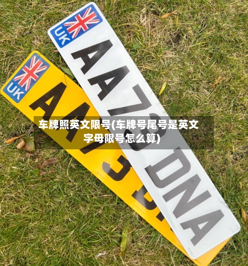 车牌照英文限号(车牌号尾号是英文字母限号怎么算)-第2张图片
