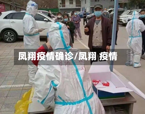 凤翔疫情确诊/凤翔 疫情