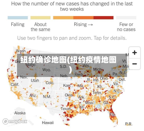 纽约确诊地图(纽约疫情地图)