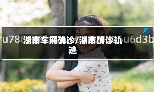 湖南车厢确诊/湖南确诊轨迹-第2张图片