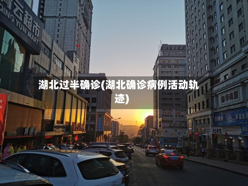 湖北过半确诊(湖北确诊病例活动轨迹)-第2张图片