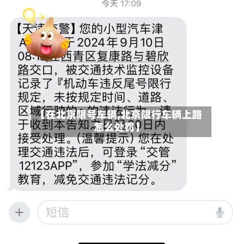 【在北京限号车辆,北京限行车辆上路怎么处罚】