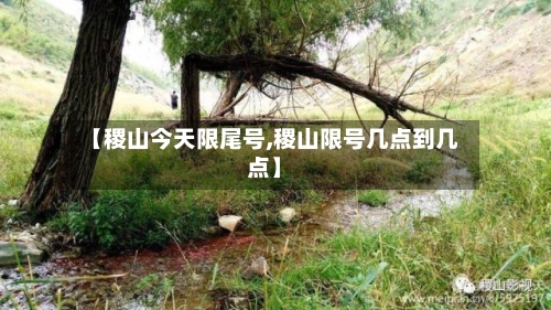 【稷山今天限尾号,稷山限号几点到几点】-第2张图片