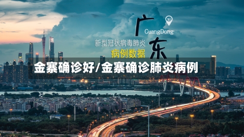 金寨确诊好/金寨确诊肺炎病例