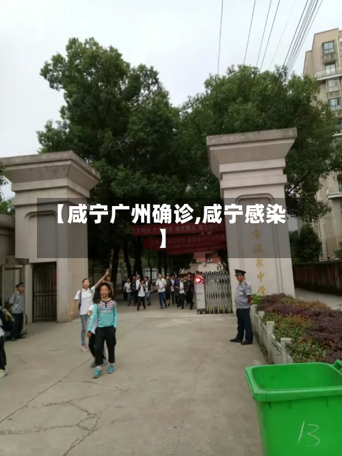 【咸宁广州确诊,咸宁感染】