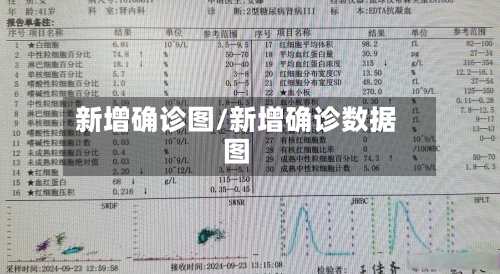 新增确诊图/新增确诊数据图-第2张图片