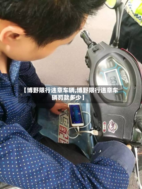 【博野限行违章车辆,博野限行违章车辆罚款多少】