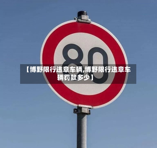 【博野限行违章车辆,博野限行违章车辆罚款多少】-第2张图片