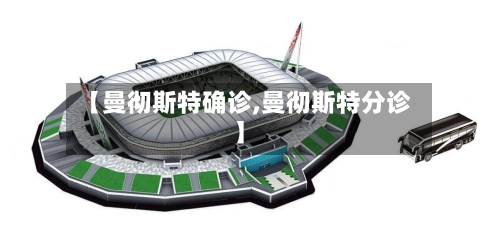【曼彻斯特确诊,曼彻斯特分诊】-第3张图片