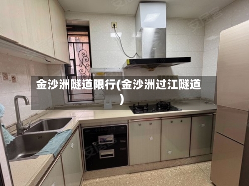 金沙洲隧道限行(金沙洲过江隧道)