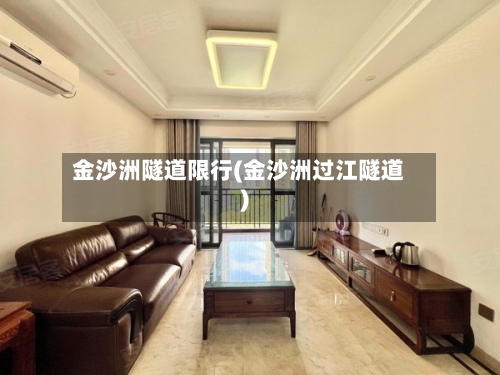 金沙洲隧道限行(金沙洲过江隧道)-第2张图片