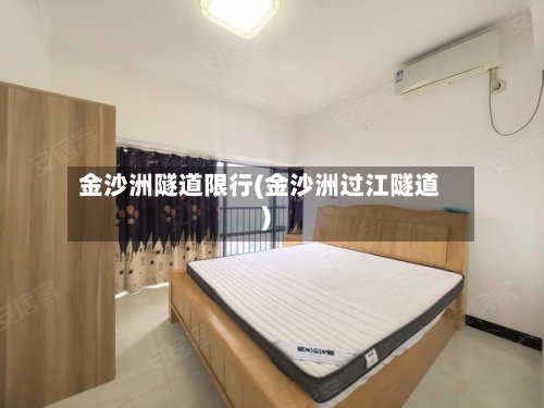 金沙洲隧道限行(金沙洲过江隧道)-第3张图片