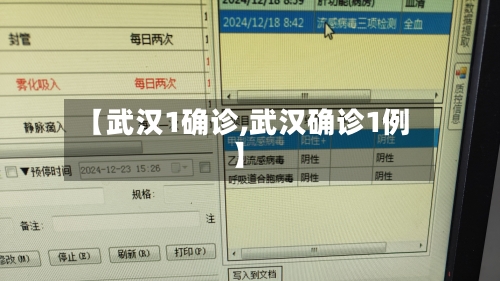 【武汉1确诊,武汉确诊1例】