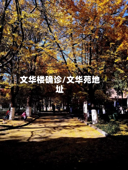 文华楼确诊/文华苑地址-第3张图片