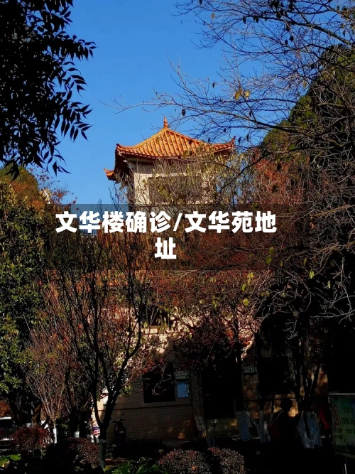 文华楼确诊/文华苑地址