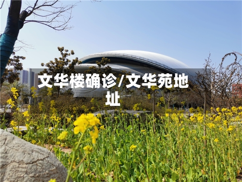 文华楼确诊/文华苑地址-第2张图片