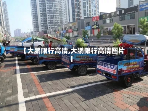 【大鹏限行高清,大鹏限行高清图片】