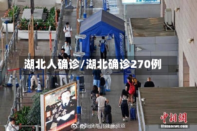 湖北人确诊/湖北确诊270例