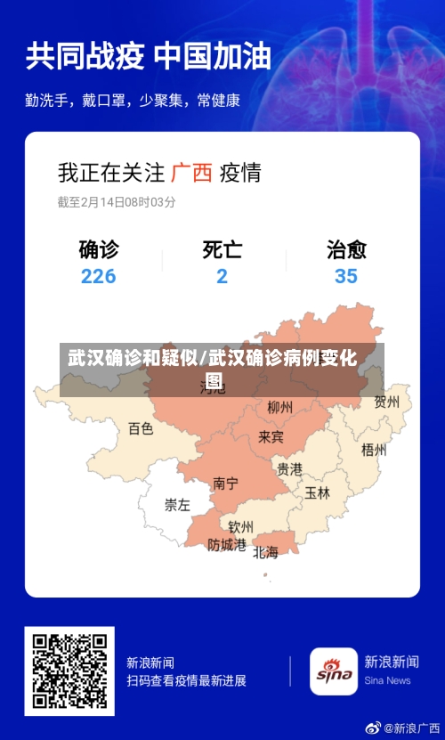 武汉确诊和疑似/武汉确诊病例变化图-第2张图片