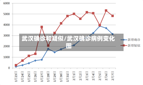 武汉确诊和疑似/武汉确诊病例变化图-第3张图片