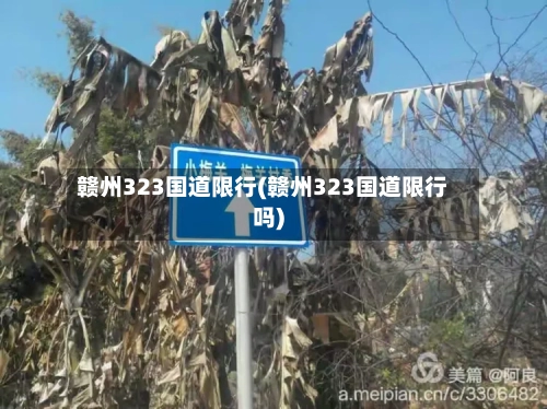 赣州323国道限行(赣州323国道限行吗)-第3张图片