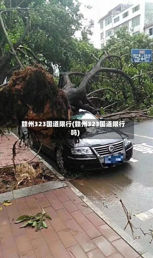 赣州323国道限行(赣州323国道限行吗)-第2张图片