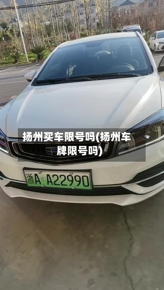 扬州买车限号吗(扬州车牌限号吗)
