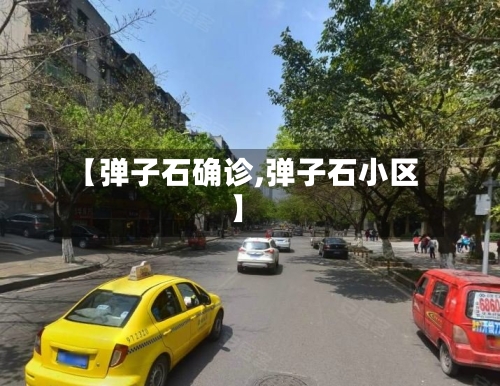 【弹子石确诊,弹子石小区】
