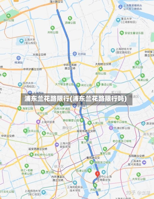 浦东兰花路限行(浦东兰花路限行吗)-第3张图片
