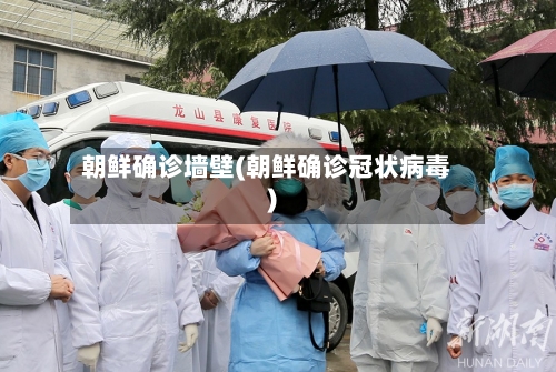 朝鲜确诊墙壁(朝鲜确诊冠状病毒)-第2张图片
