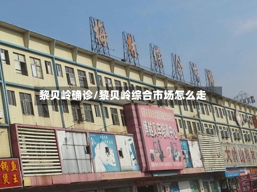 黎贝岭确诊/黎贝岭综合市场怎么走-第2张图片