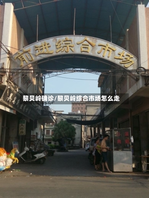黎贝岭确诊/黎贝岭综合市场怎么走-第3张图片
