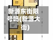 新源东街限号吗(新源大街)-第3张图片
