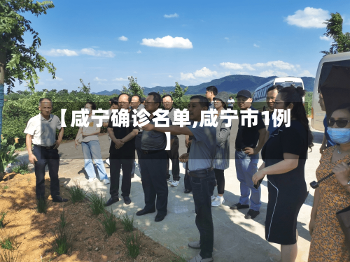 【咸宁确诊名单,咸宁市1例】-第2张图片