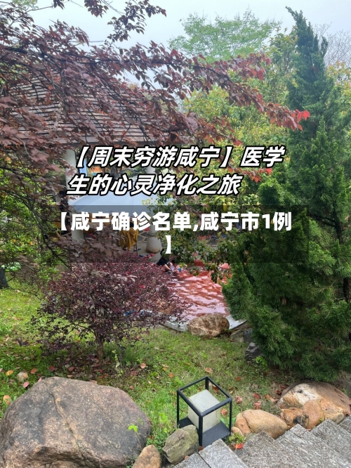 【咸宁确诊名单,咸宁市1例】