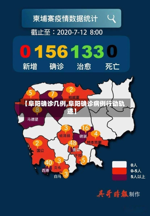 【阜阳确诊几例,阜阳确诊病例行动轨迹】-第2张图片