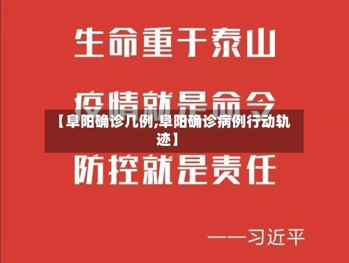 【阜阳确诊几例,阜阳确诊病例行动轨迹】
