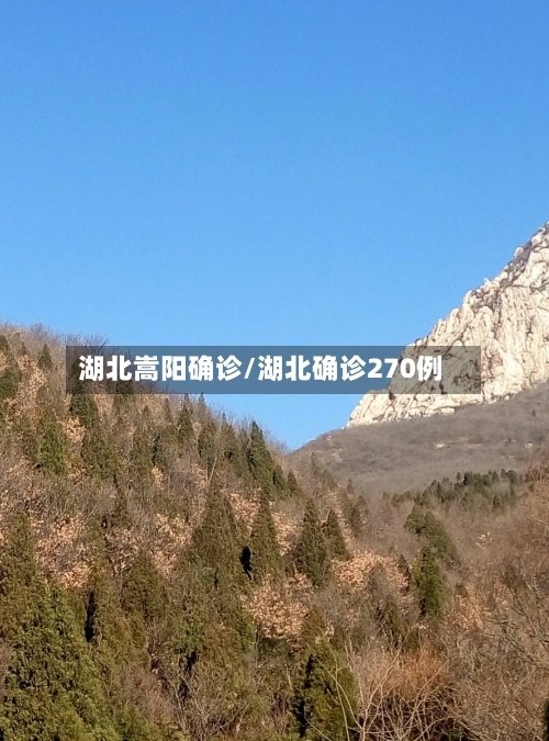 湖北嵩阳确诊/湖北确诊270例-第2张图片