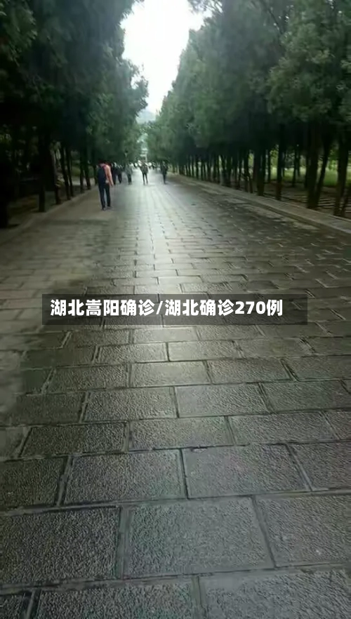 湖北嵩阳确诊/湖北确诊270例