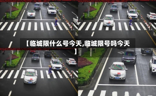 【临城限什么号今天,临城限号吗今天】-第2张图片