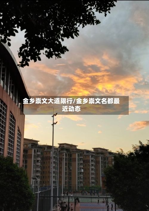 金乡崇文大道限行/金乡崇文名都最近动态-第2张图片