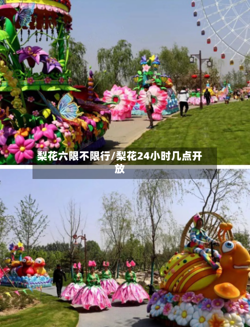 梨花六限不限行/梨花24小时几点开放