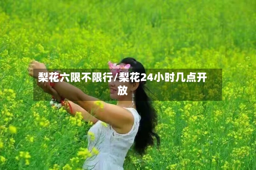 梨花六限不限行/梨花24小时几点开放-第3张图片