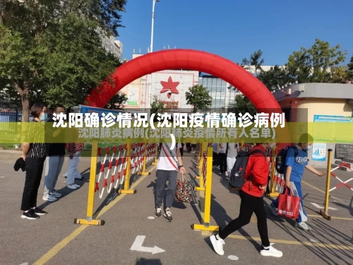 沈阳确诊情况(沈阳疫情确诊病例)-第2张图片