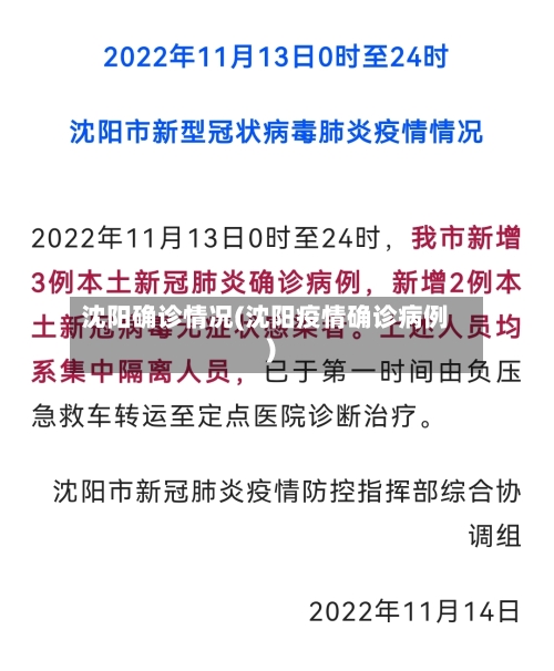 沈阳确诊情况(沈阳疫情确诊病例)