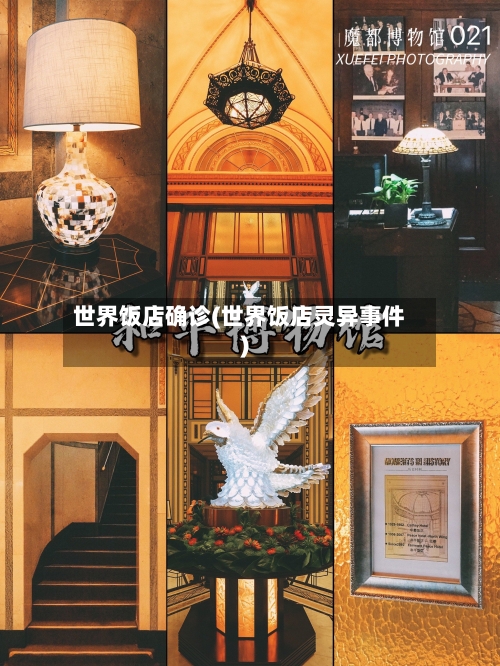 世界饭店确诊(世界饭店灵异事件)
